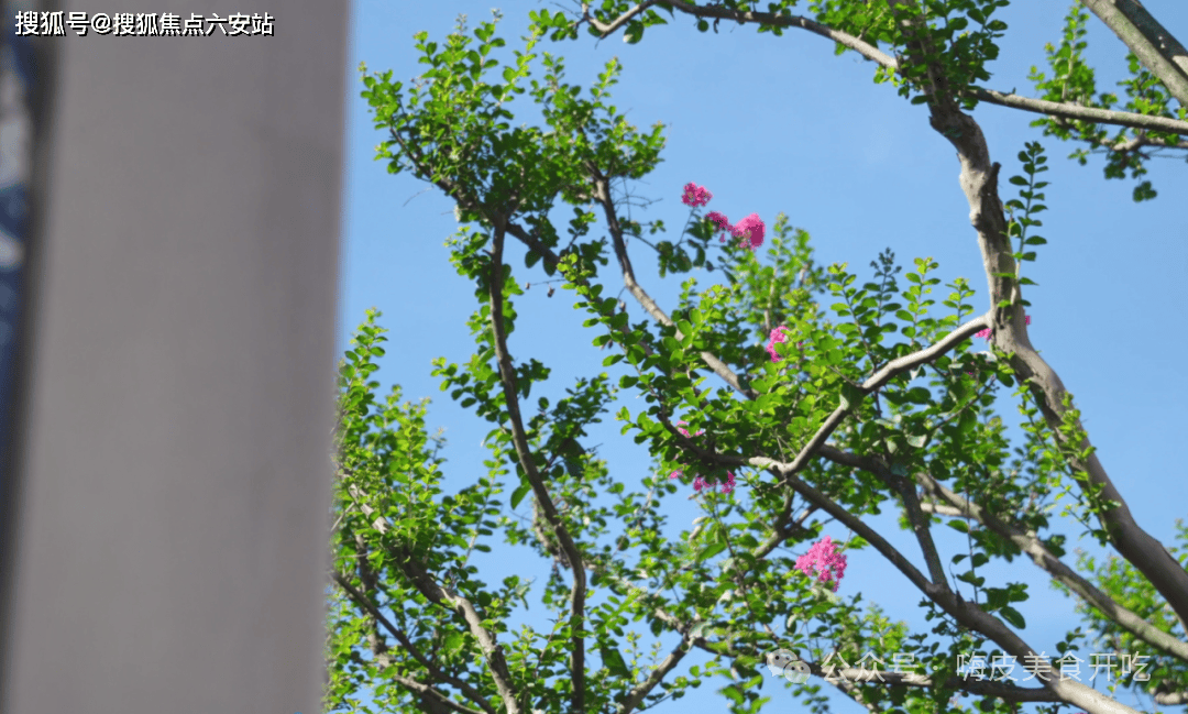 墅业态容积率11精装配大金中央空调交通路网便捷兼顾生态宜居与品质体验k8凯发全站杭州上城区丁桥核心湖居标杆——天阳湖山丽舍定位纯四层叠(图3)