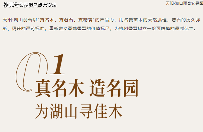 墅业态容积率11精装配大金中央空调交通路网便捷兼顾生态宜居与品质体验k8凯发全站杭州上城区丁桥核心湖居标杆——天阳湖山丽舍定位纯四层叠(图4)